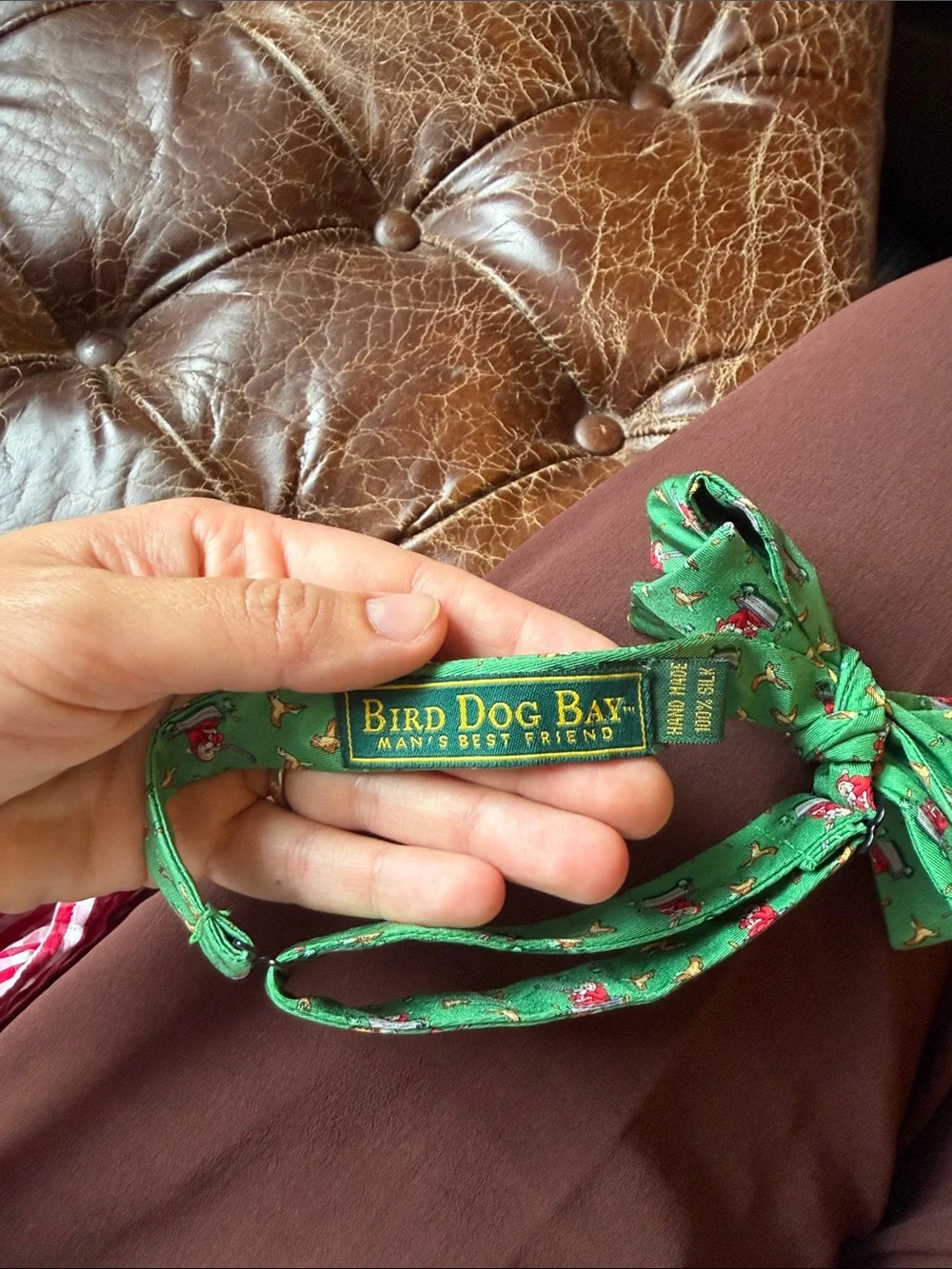 Bird Dog Bay playful green